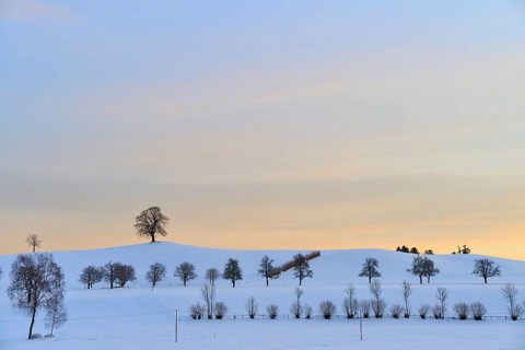 Winter landscape with snow-covered hills and trees under a pastel-coloured sunset, Menzingen, Zug,