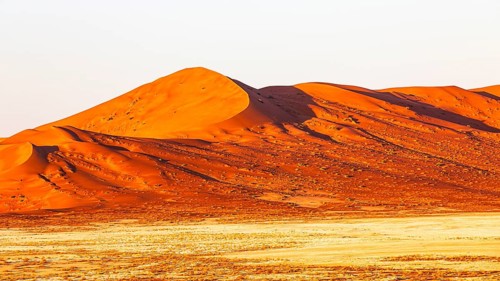 Wind-sculpted curved sand dunes in the evening light, in the Rub al Khali desert, Dhofar province,
