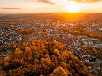 View from above of the town and forest in the golden autumn sunlight, Herrenberg, Germany, Europe