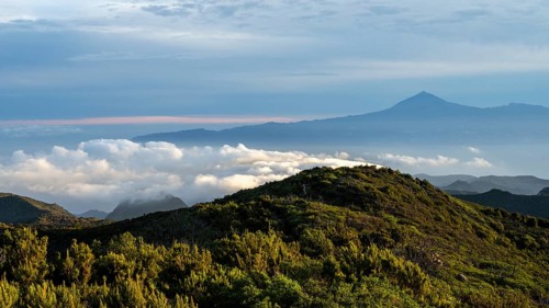 Sunrise, view of Mount Teide from Alto de Garajonay, Tenerife, Garajonay National Park, La Gomera,