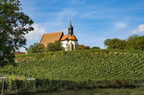 The pilgrimage church Maria im Weingarten in the vineyards near Volkach, Lower Franconia, Bavaria,