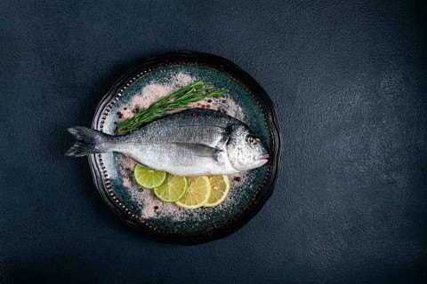 Fresh, raw dorado fish, on a dark blue background, top view, two pieces, no people