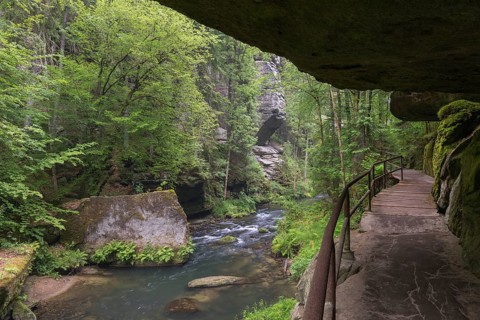 Hiking path in the Wild Gorge, river Kamnitz, Hrensko, Ustecky kraj, Czech Republic, Europe
