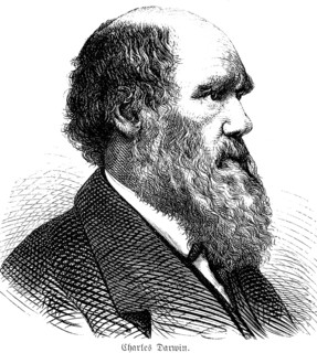 Portrait of the British naturalist Charles Darwin (1809, 1882) Theory of evolution on the origin of