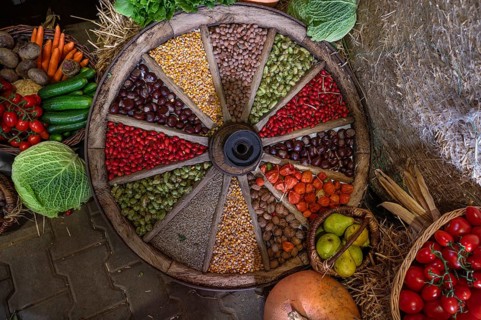 Fruit decorated in an old wooden spoked wheel at a harvest festival, Franconia, Bavaria, Germany,