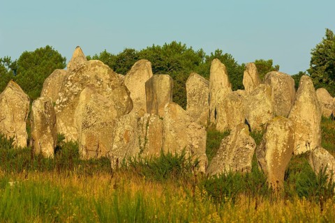 Neolithic menhirs, standing stones in Carnac with sunrise, Carnac, Quiberon, Morbihan, Brittany,