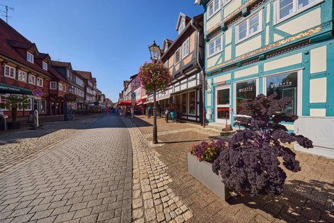 Half-timbered houses, flower pots, cabbage (Brassica), lantern, general architecture, Galerie Am