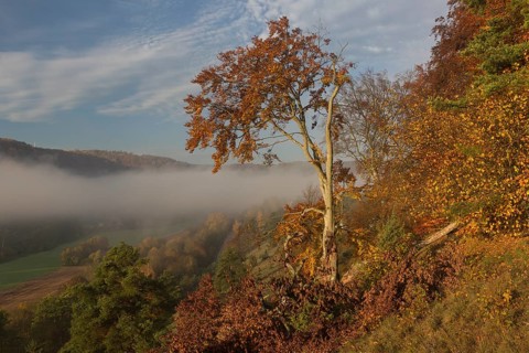 Sunrise close to the 12 Apostels rock formation in the Altmühl valley nature park close to