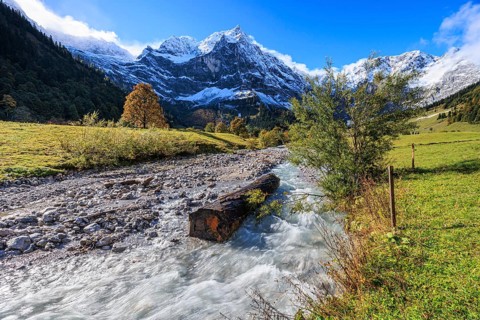 Wild river in front of snow-covered mountains, autumn, maple trees, sunny, Engalm, Großer