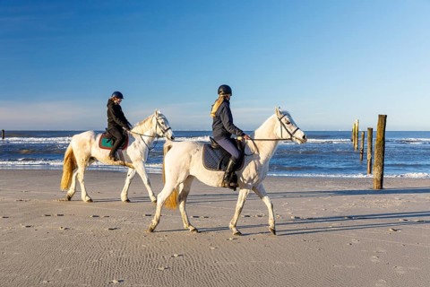 2 riders on a grey horse on the north beach of Norderney, Lower Saxony, Germany, Europe