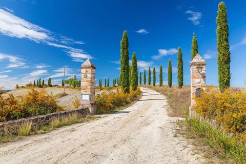 Gateway with avenue of columnar cypresses (Cupressus sempervirens) near Siena, Tuscany, Italy,
