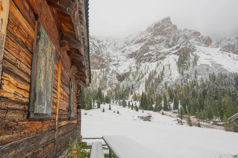 View along a hut on an alpine meadow at the foot of the Peitlerkofel, Passo delle Erbe, Würzjoch,