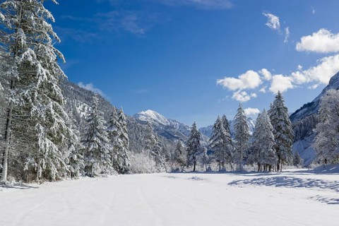 Eng valley in winter. Snow covered landscape with the Riss creek flowing through. Some hoar frosted