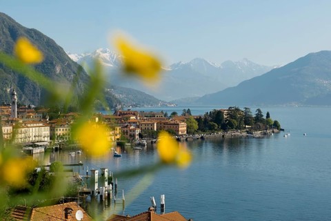 Spring, Menaggio, Province of Como, Lake Como, Lago di Como, Lombardy, Italy, Europe
