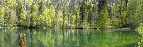 Christlessee on a sunny day in spring, a mountain lake in the Trettachtal, near Oberstdorf,