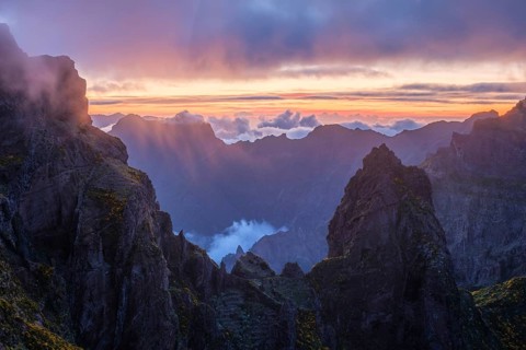Mountains on sunset covered in fog and clouds with blooming Cytisus shrubs. Near Pico de Arieiro,