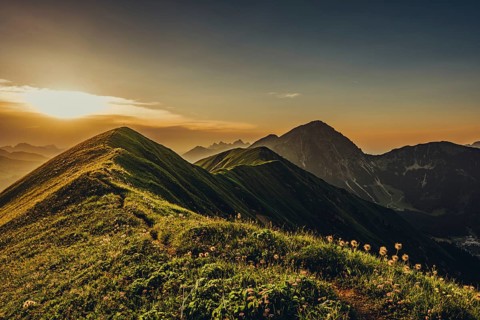 Hiking tour on the Hönig mountain in the Lechtal valley near Berwang in Tyrol, Austria, Europe