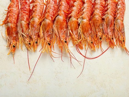 Langoustines, Australian, freshly frozen langoustines, on a light background, top view