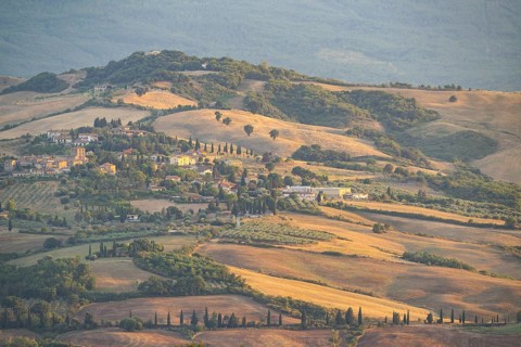 Typical Tuscan landscape in Val d'Orcia with hills, trees, fields, cypresses in autumn at sunset,