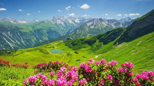 Alpenrosenbluete, Panorama from the Fellhorn over the Schlappoldsee and mountain station