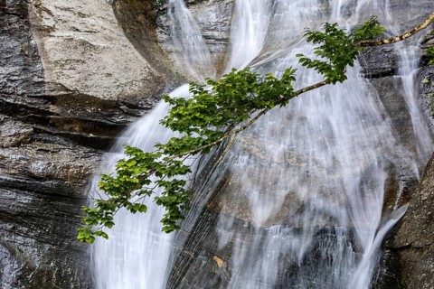 Waterfall near Sonogno, Verzasca Valley, Valle Verzasca, Canton Ticino, Switzerland, Europe