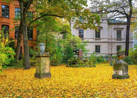 Autumn in the city, residential buildings on the grounds of the Sophienkirche in Berlin-Mitte,