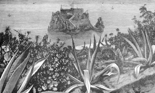 Peak Fort, fortress on an Atlantic rock off Funchal, Madeira, agaves, travelling, autonomous