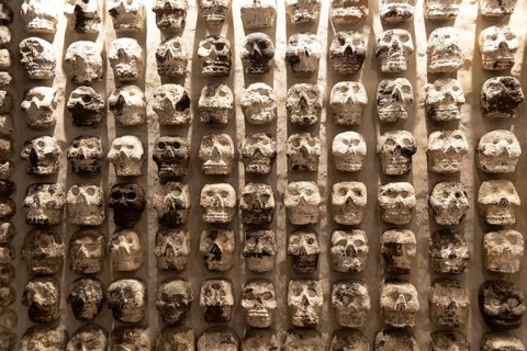 Wall of stone human skulls, archaeological site and museum of Templo Mayor, Mexico City, Mexico,