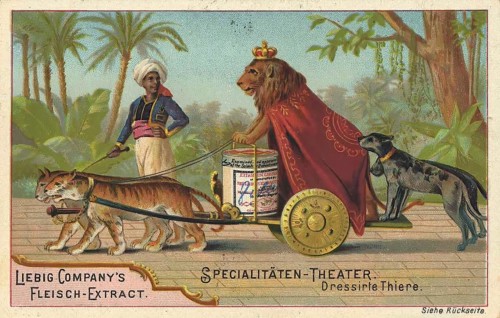 Picture series Specialities Theatre, Dressed Animals, Liebig picture, digitally restored