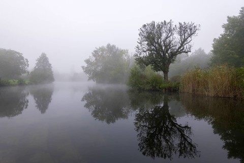 Foggy lake with trees and reflection in the water, quiet and mystical, Talaue, Waiblingen,