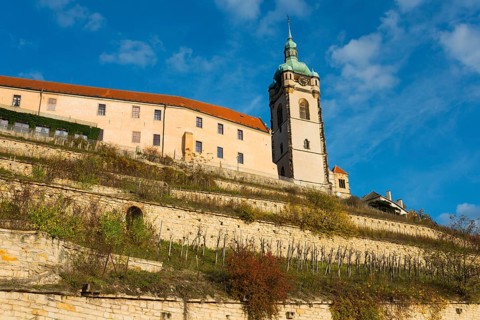 Stone houses and tower on a vineyard under a clear sky on a sunny day, Melnik Castle, Church of St