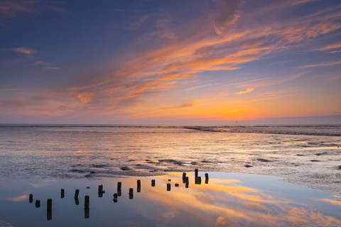 View of a tidal flat in the Wadden Sea at low tide at sunset, National Park, Unesco, World Natural