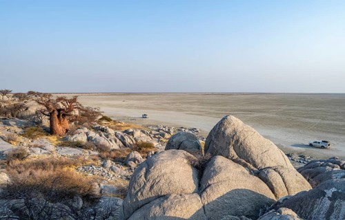 African baobab or baobab tree (Adansonia digitata), between round rocks, at sunrise, with salt pan,