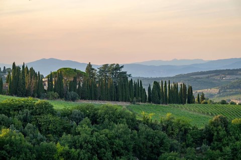 Tuscan landscape next to greve in Chianti and Montefioralle, country estate with vineyards,