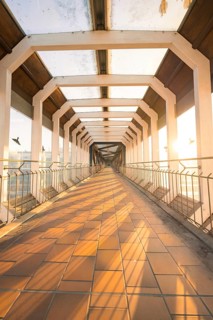 A bright glass corridor illuminated by sunlight, birds flying in the foreground, geometric design,