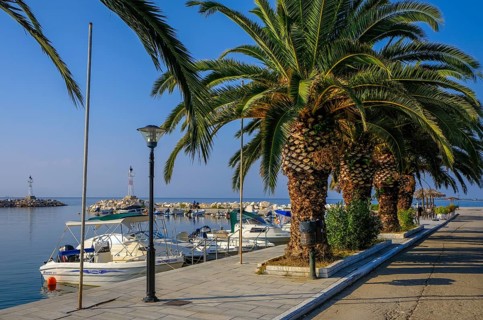 Skala Sotira, Thassos, Greece - Palm trees on the harbour promenade of the small fishing village of