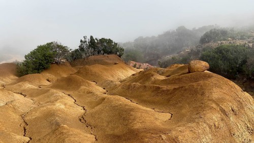 Yellow soil and rocks, erosion, near Arguamul, La Gomera, Canary Islands, Spain, Europe