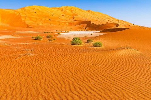 Wind-sculpted curved sand dunes with green vegetation, in the Rub al Khali desert, Dhofar province,