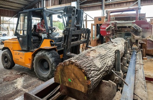 Solingen, North Rhine-Westphalia, Germany - Oak logs on the bandsaw in the sawmill, construction