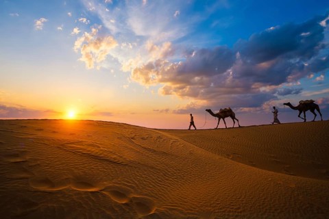 Indian cameleers camel drivers bedouin with camel silhouettes in sand dunes of Thar desert on