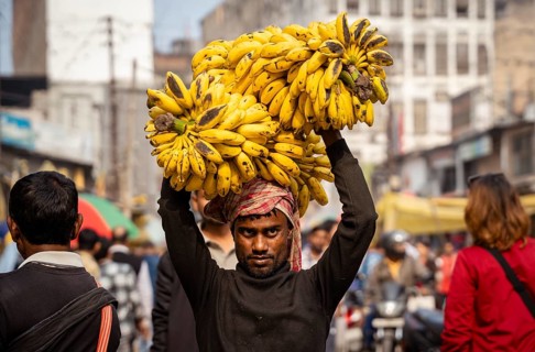 A labourer carries bananas on head in a market, on the day of the presentation of Union Budget, in