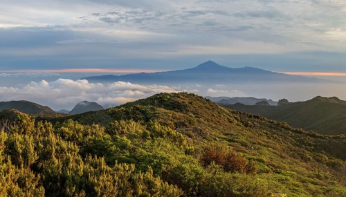 Sunrise, view of Mount Teide from Alto de Garajonay, Tenerife, Garajonay National Park, La Gomera,