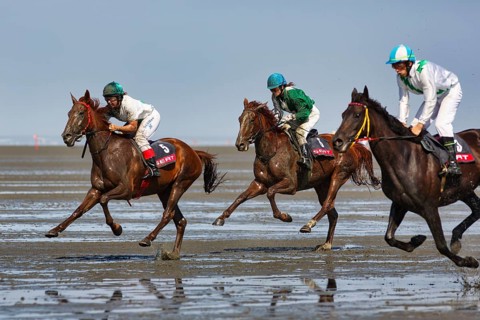 Three riders, horses at a gallop, gallop race in the mudflats, Duhner Wattrennen 2019, Duhnen,