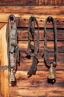 The Ladiz-Alm, the high alpine pasture of the Eng-Alm, old cow bells on the hut wall, Ladiz-Alm,