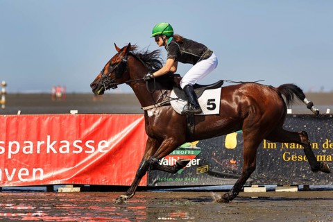 Rider, horsewoman, horse at a gallop, gallop race in the mudflats, Duhner Wattrennen 2019, Duhnen,