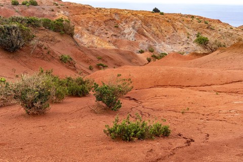Landscape with red earth at the Mirador de Abrante near Agulo, La Gomera, Canary Islands, Spain,