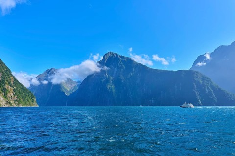 Boats on blue waters in front of majestic mountains, summer, Milford Sound, Te Anau, Fiordland