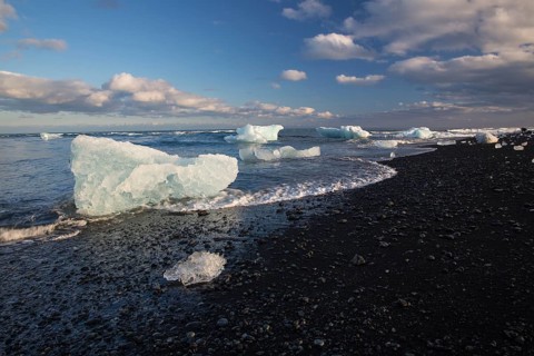 Little icebergs and crushed ice on the black beach at Joekulsarlon glacial lake