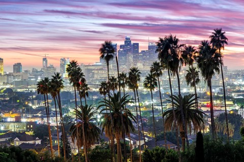Los Angeles skyline with palm trees and downtown at sunset in California in Los Angeles, USA, North