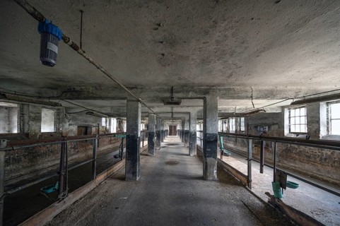 Empty cowshed of a former LPG of the GDR, Mecklenburg-Vorpommern, Germany, Europe